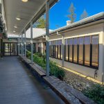 Byron CoLab on Arakwal Country pathway