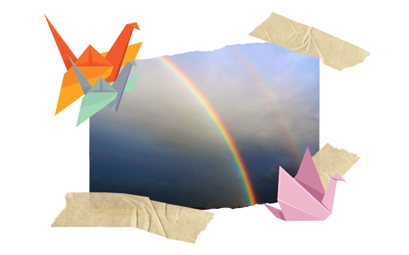 Paper Wings messages