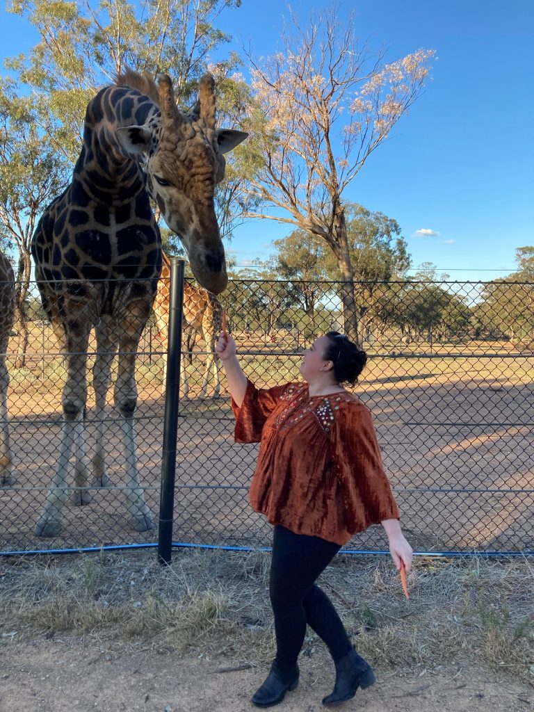Georgia feeds a carrot to a giraffe at Dubbo Zoo
